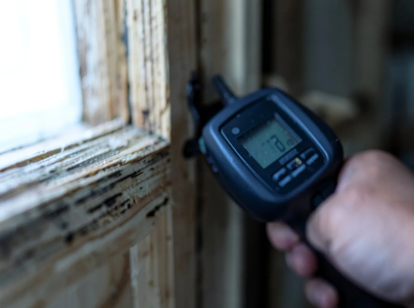 Moisture Inspection And Documentation in Denton, GA